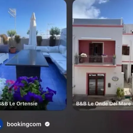 Le Ortensie Bed & Breakfast