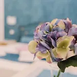 Le Ortensie