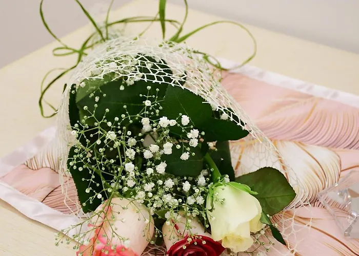 Le Ortensie Bed & Breakfast San Vito Lo Capo